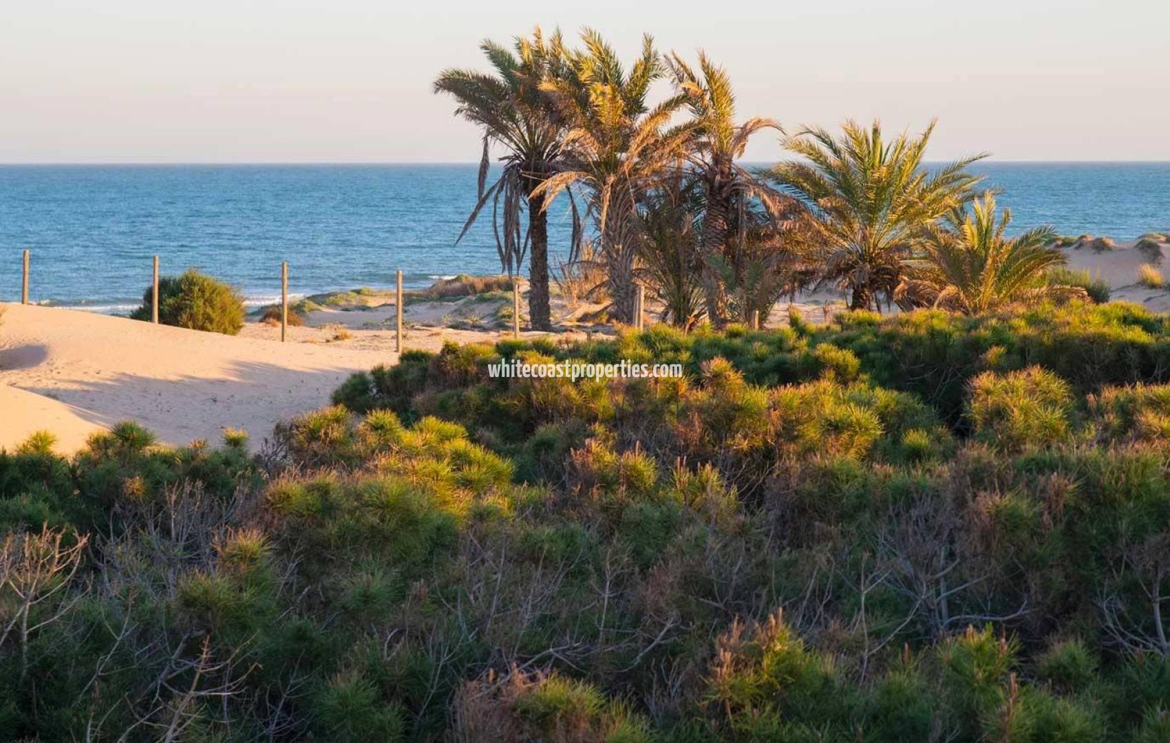 New Build - Apartment - Guardamar del Segura - Avda del Puerto