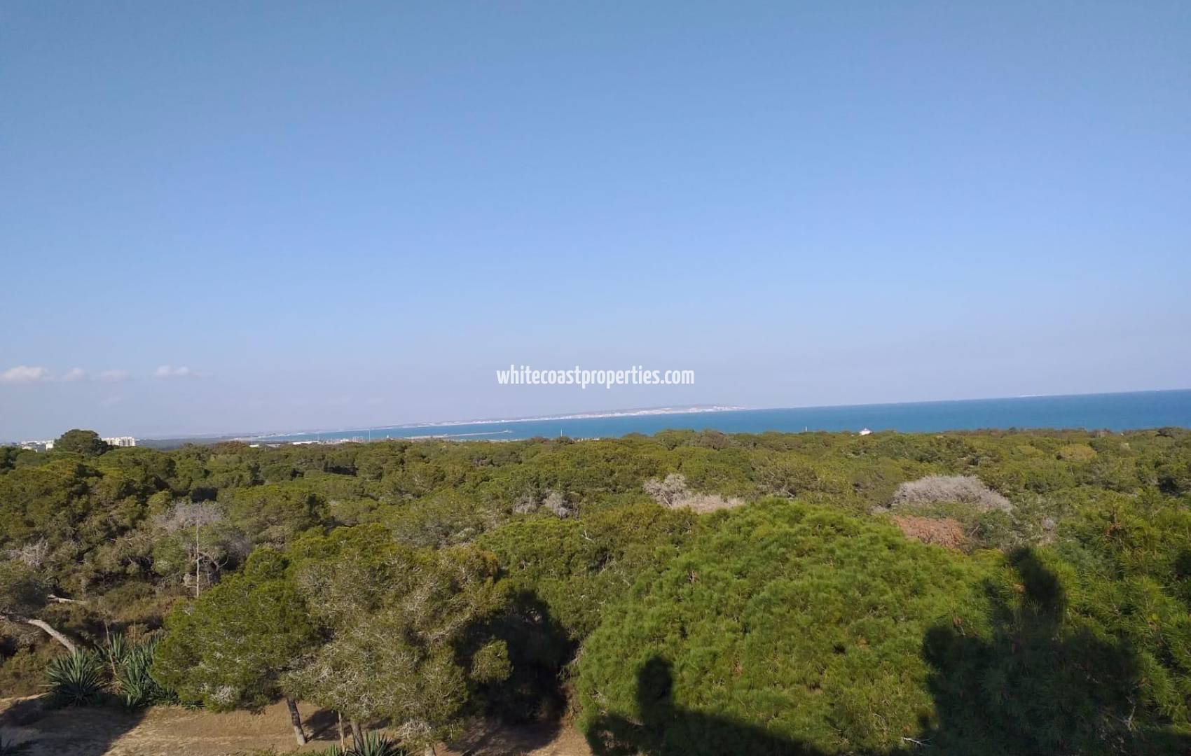 New Build - Apartment - Guardamar del Segura - Pueblo