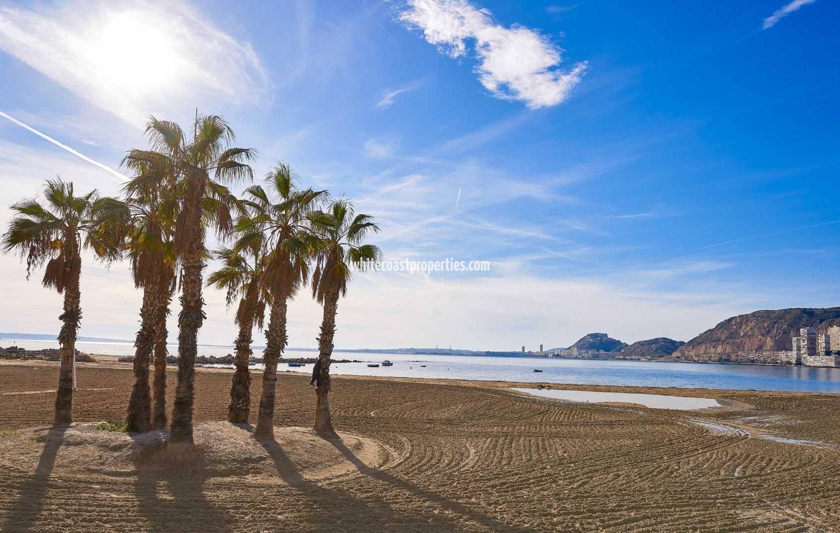 New Build - Semidetached - Els Poblets - Partida Barranquets