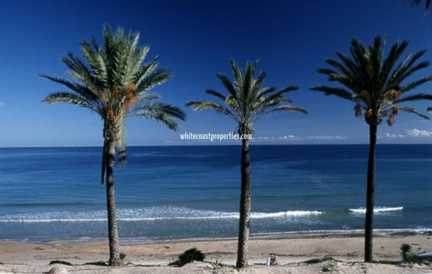 New Build - Top Floor Bungalow - Pilar de la Horadada - Parque Ramon eugenio Escudero