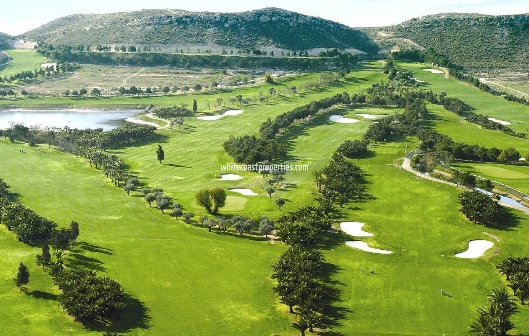 New Build - Villa - BAÑOS Y MENDIGO - Altaona Golf