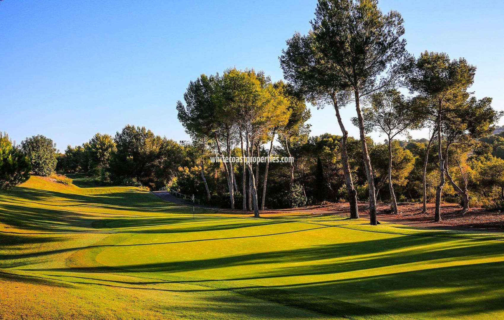 New Build - Villa - Orihuela - Las Colinas Golf