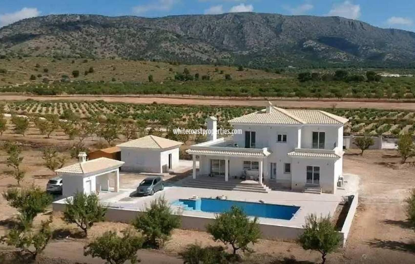 New Build - Villa - Pinoso - Camino Del Prado