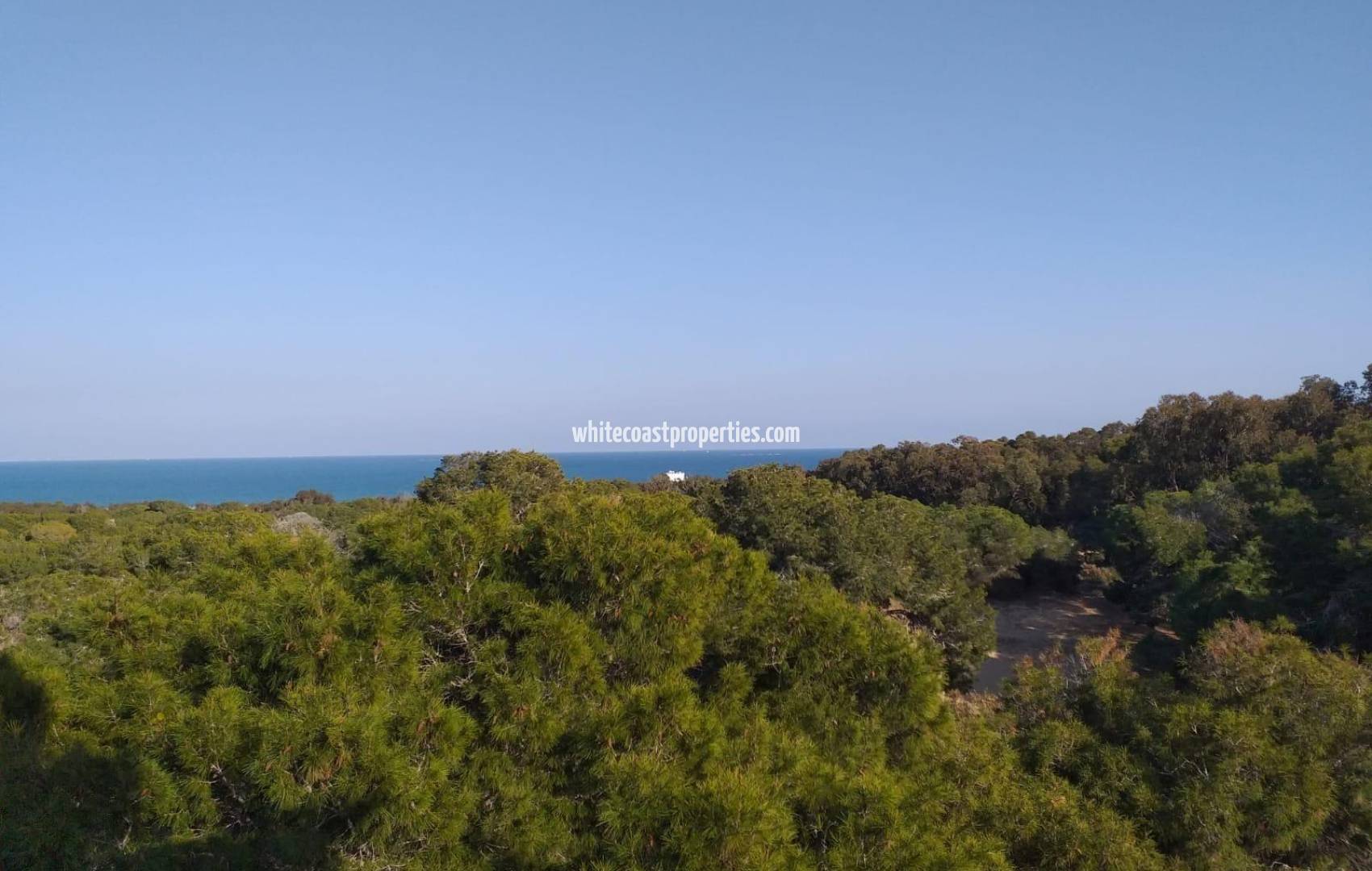 Новостройка - Апартаменты - Guardamar del Segura - Pueblo