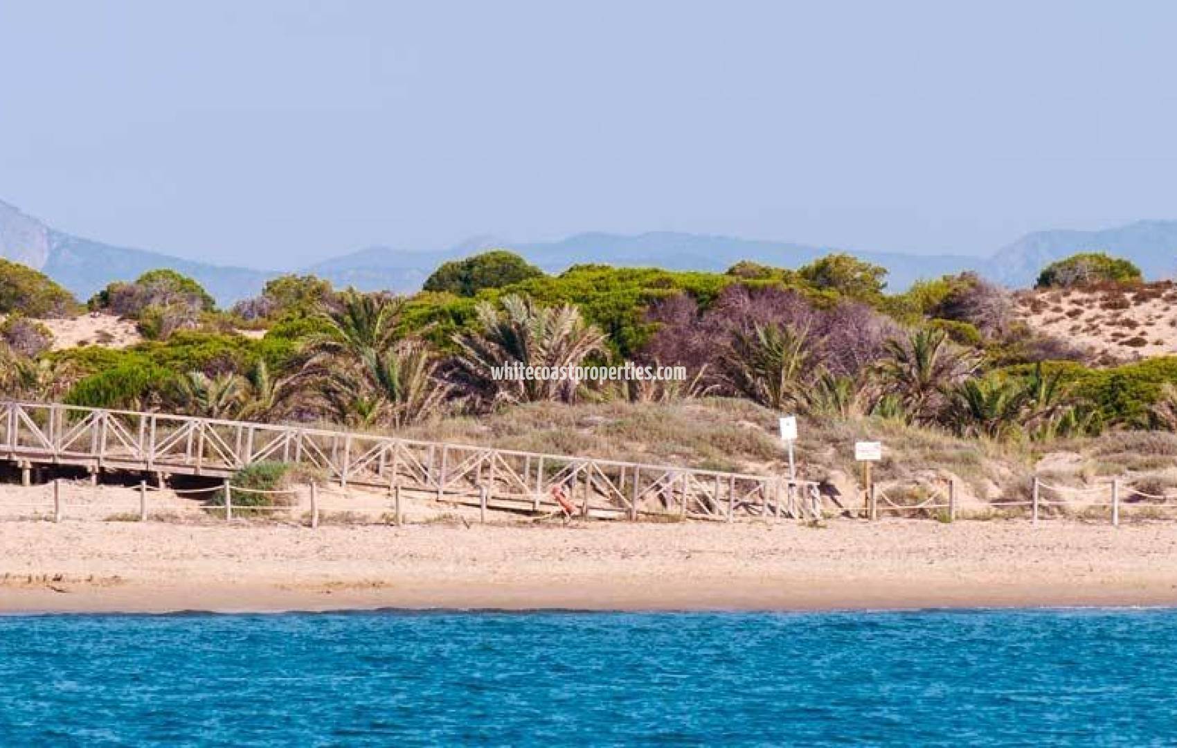 Новостройка - Апартаменты - Guardamar del Segura - Pueblo