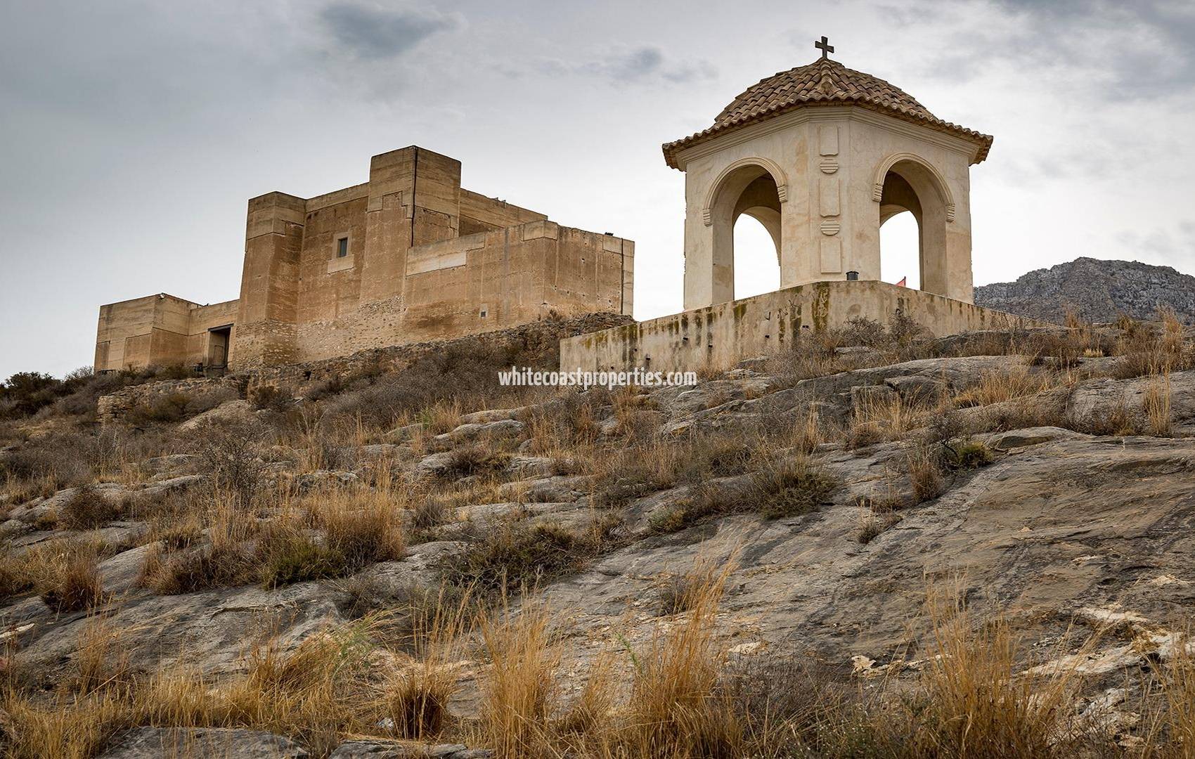 Новостройка -  - Cox - San Fernando