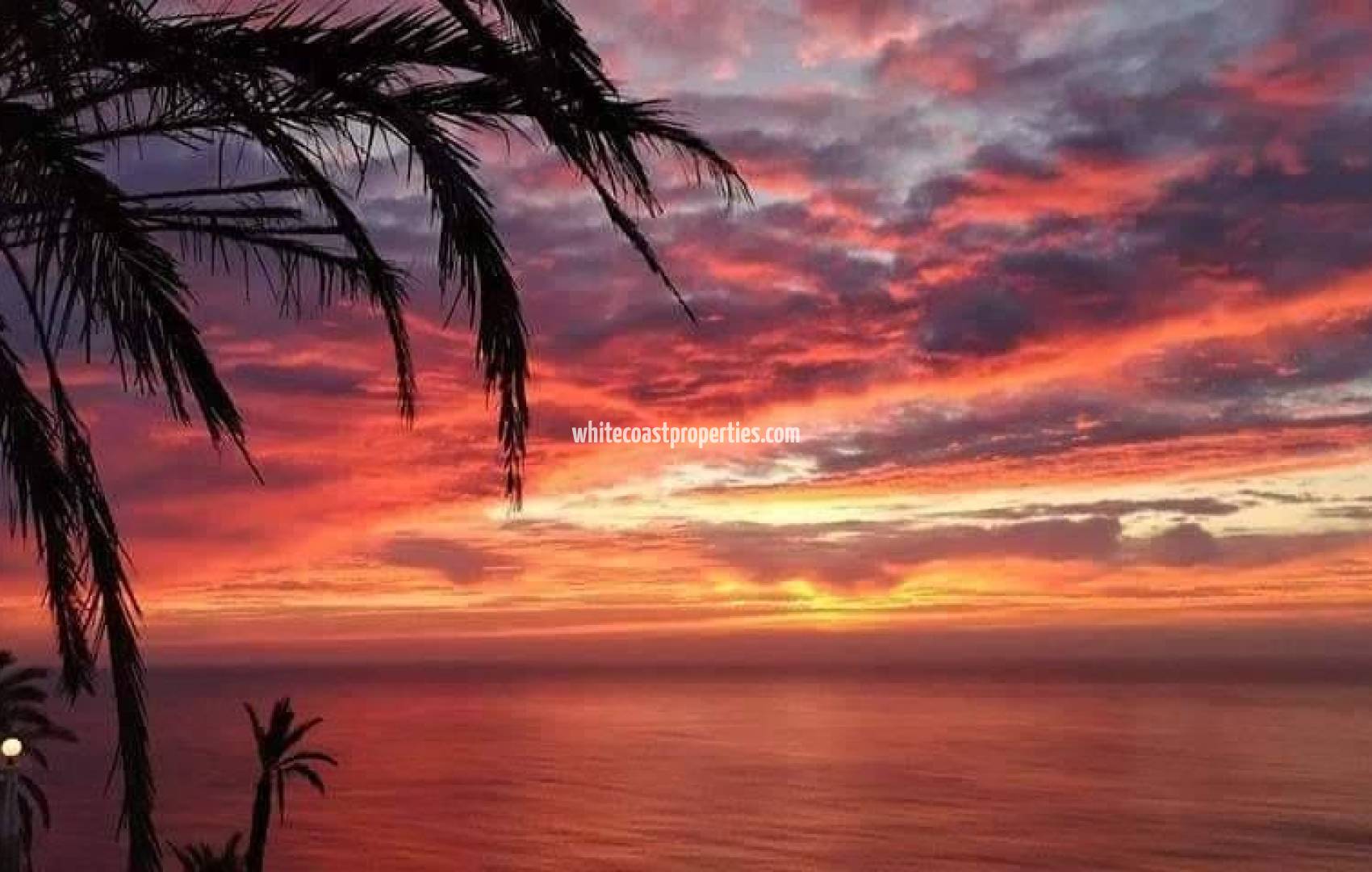 Новостройка - Ground Floor Bungalow - Torrevieja - Altos del Sol