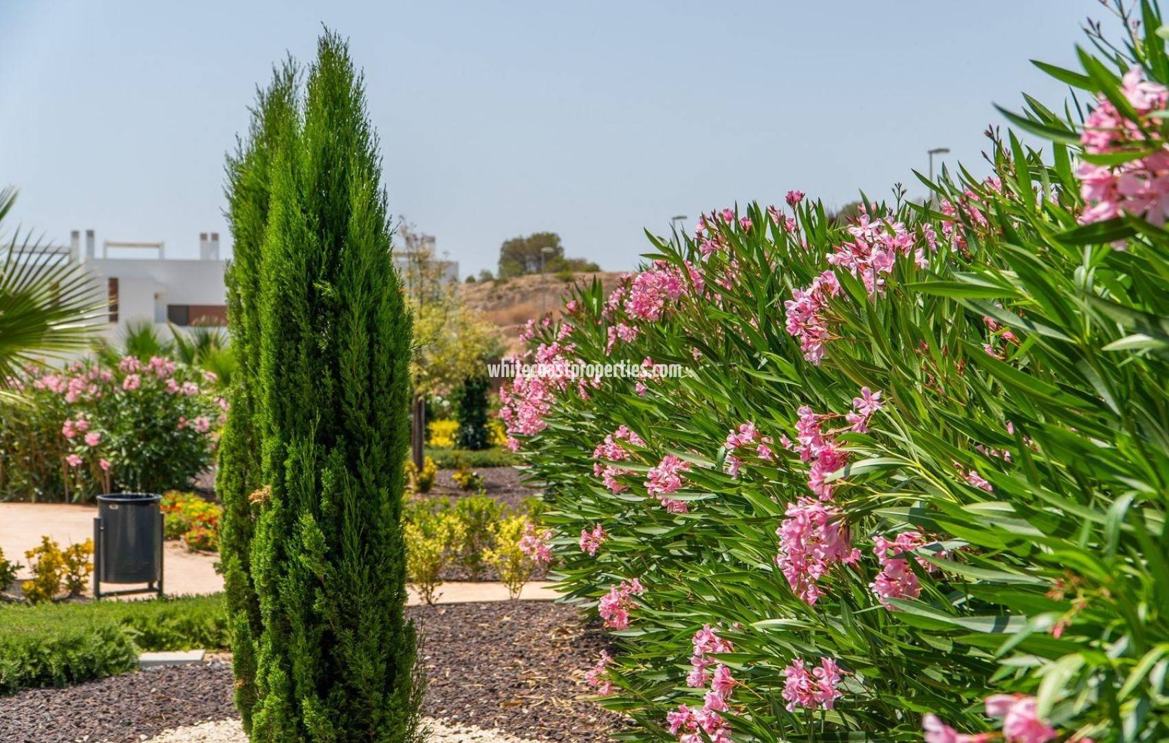 Новостройка -  - Orihuela - Vistabella Golf