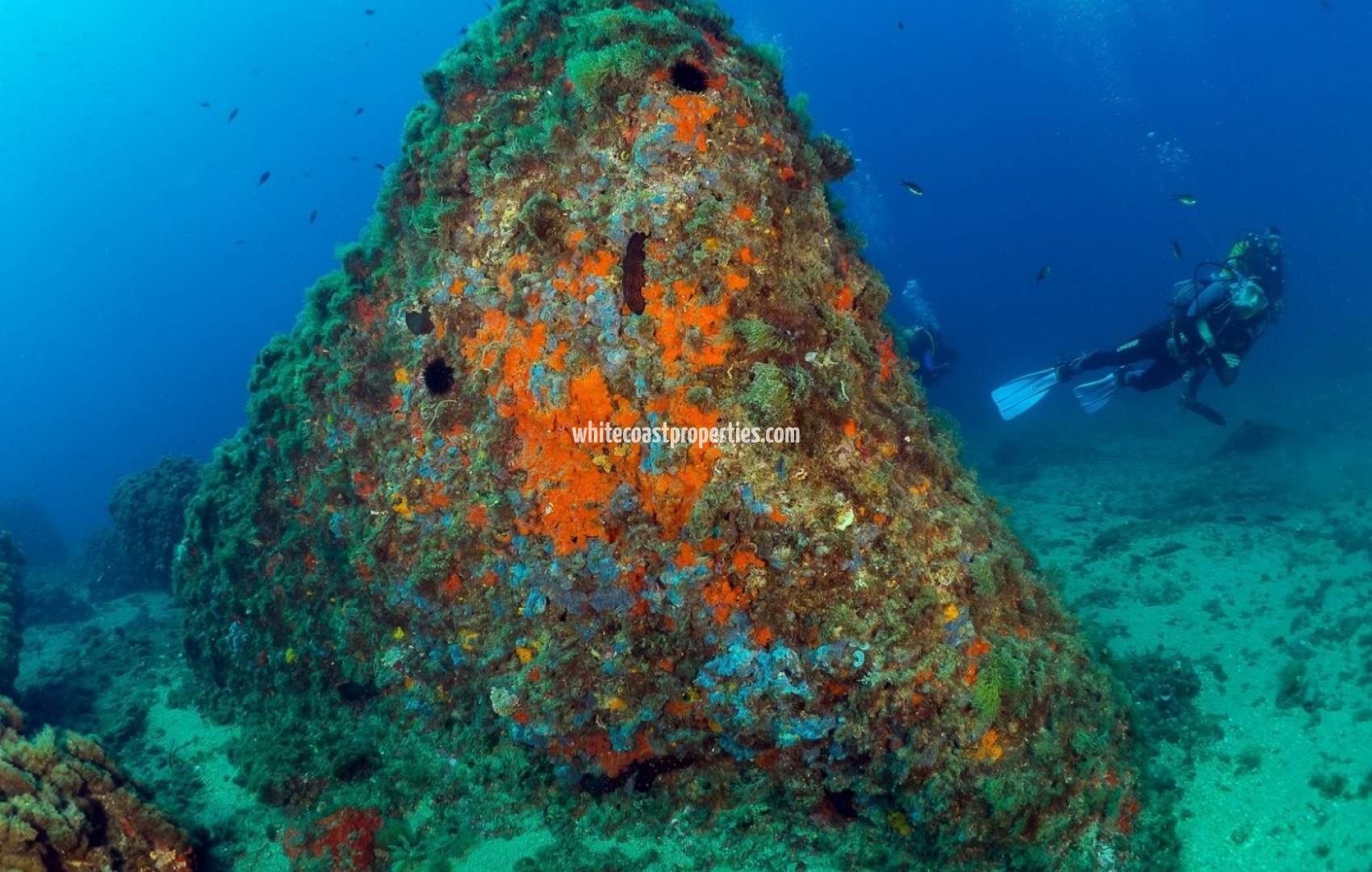 Новостройка - Пентхаус - Águilas - Isla del fraile