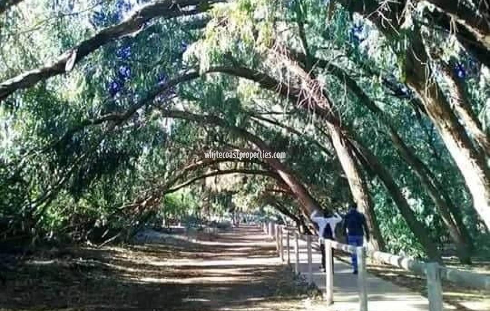 Новостройка - Top Floor Bungalow - Torrevieja - Altos del Sol