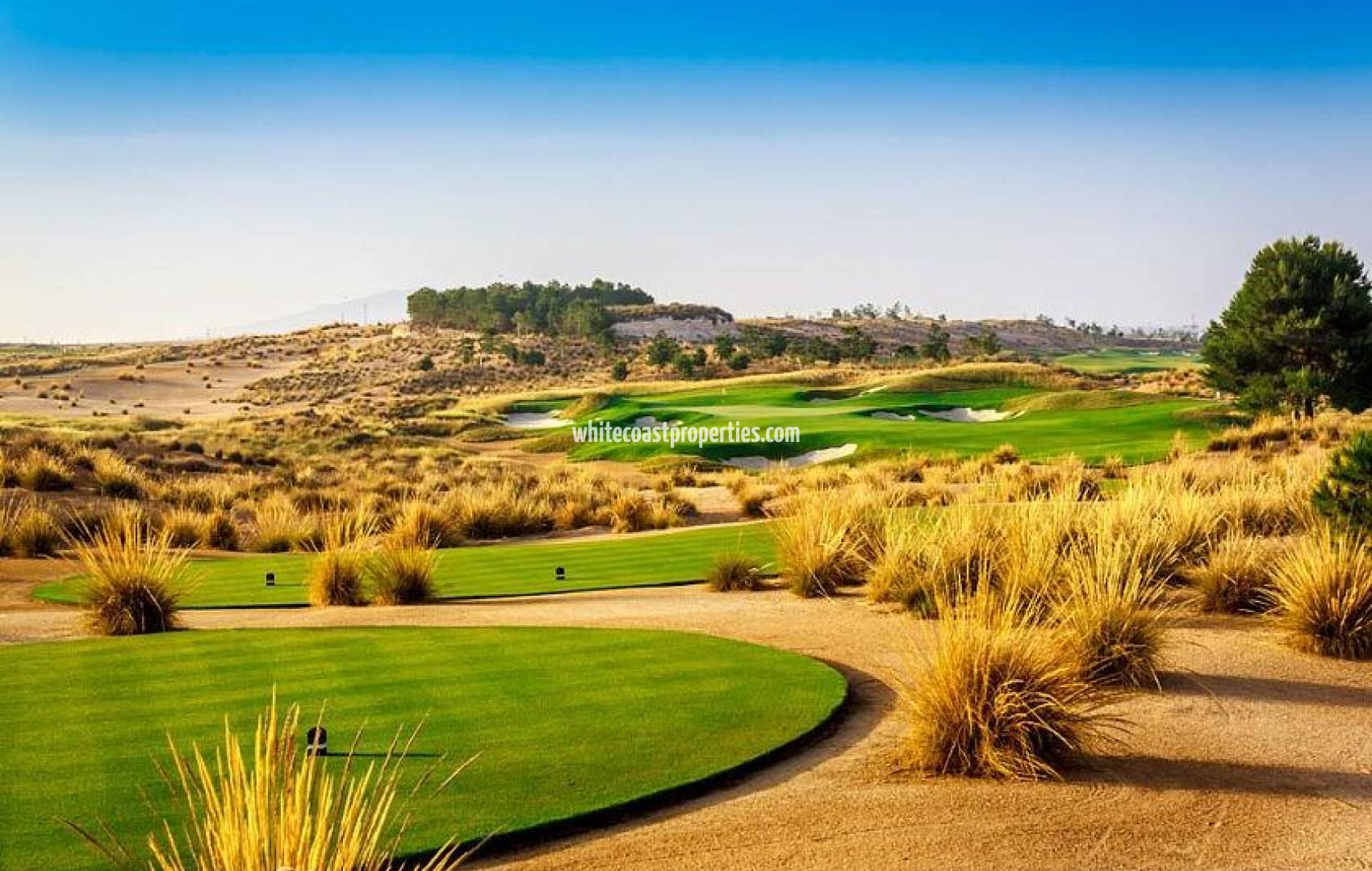 Новостройка - Вилла - Alhama de Murcia - Condado De Alhama