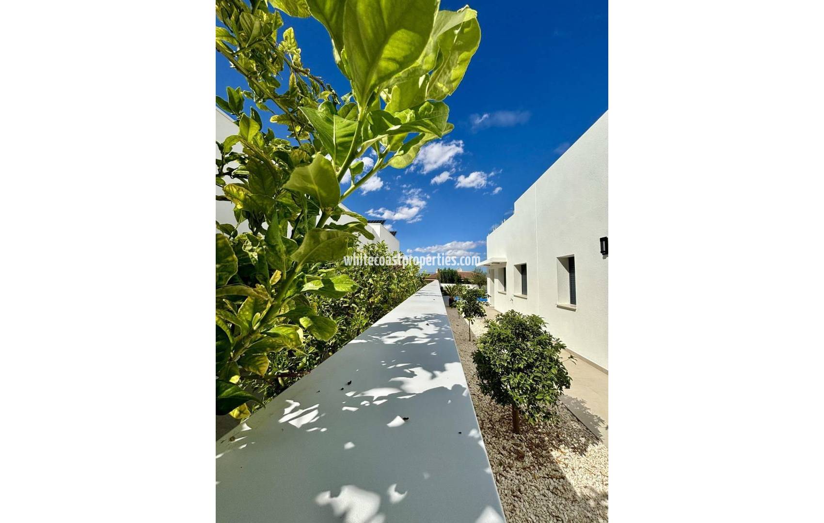 Новостройка - Вилла - Benijofar - Pueblo