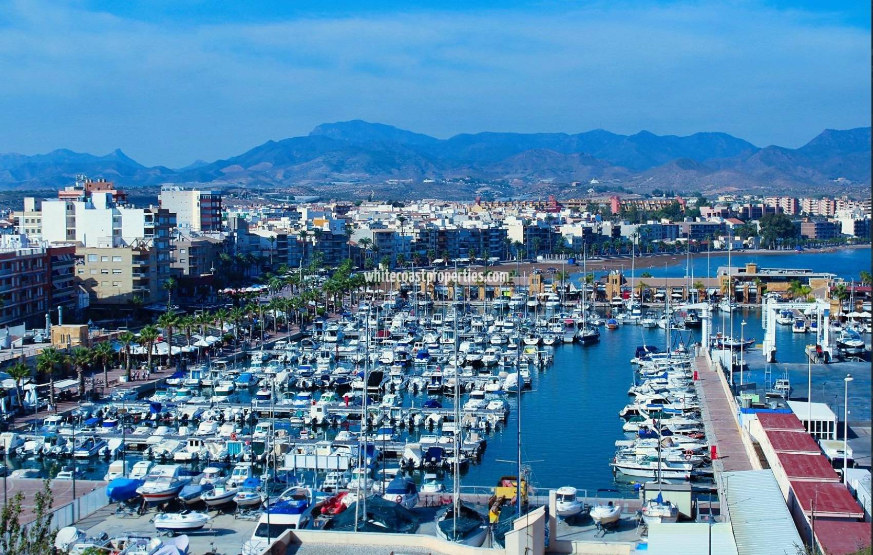 Новостройка - Вилла - Fuente Álamo - La Pinilla