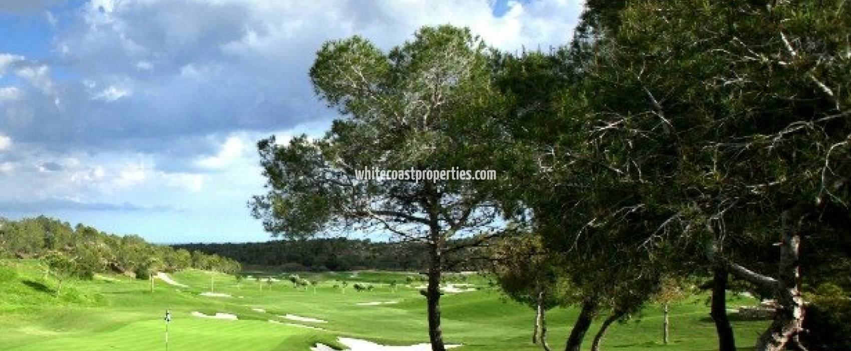 Новостройка - Вилла - Orihuela - Las Colinas Golf