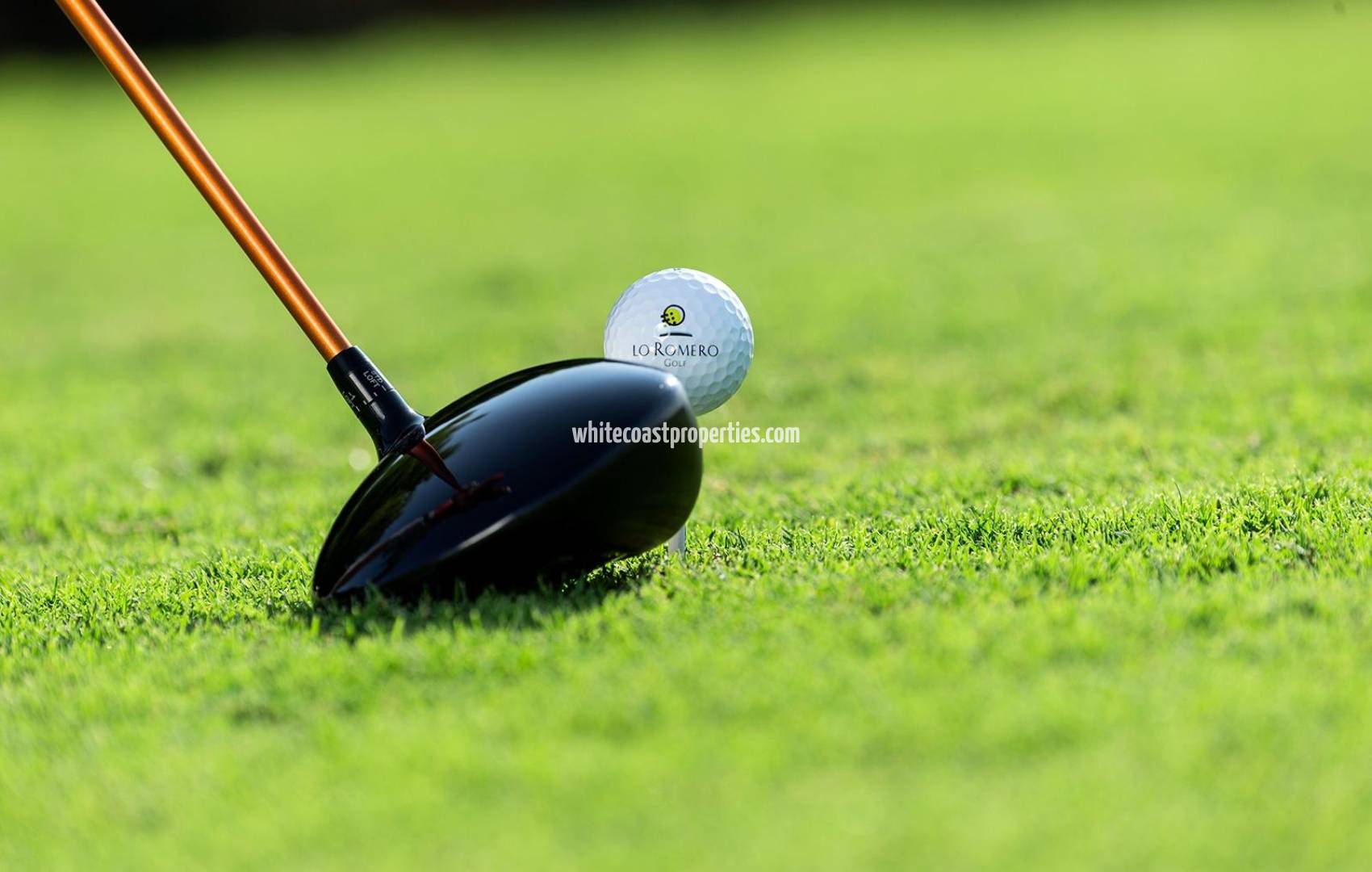 Новостройка - Вилла - Pilar de la Horadada - Lo Romero Golf