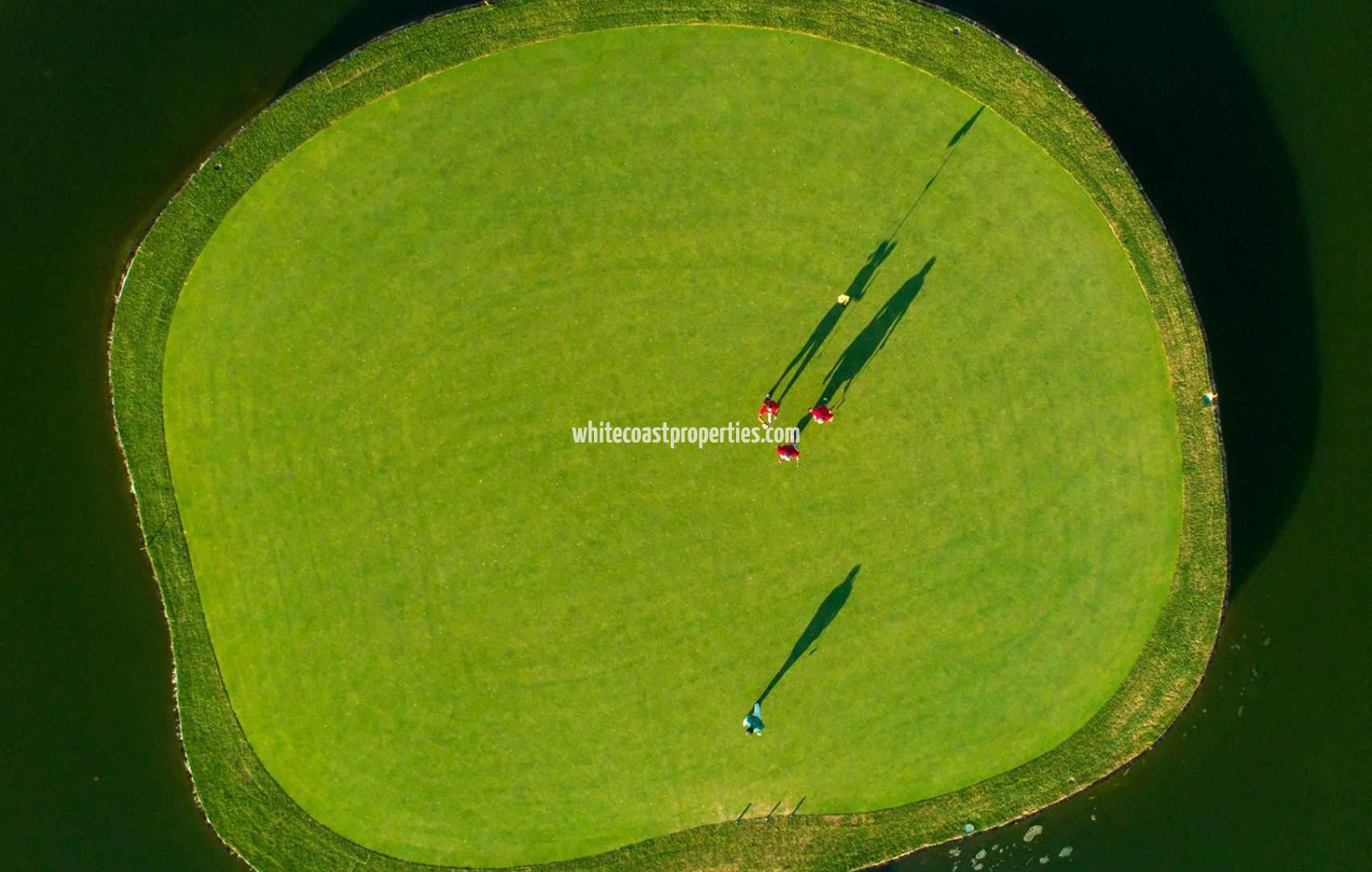 Новостройка - Вилла - Pilar de la Horadada - Lo Romero Golf