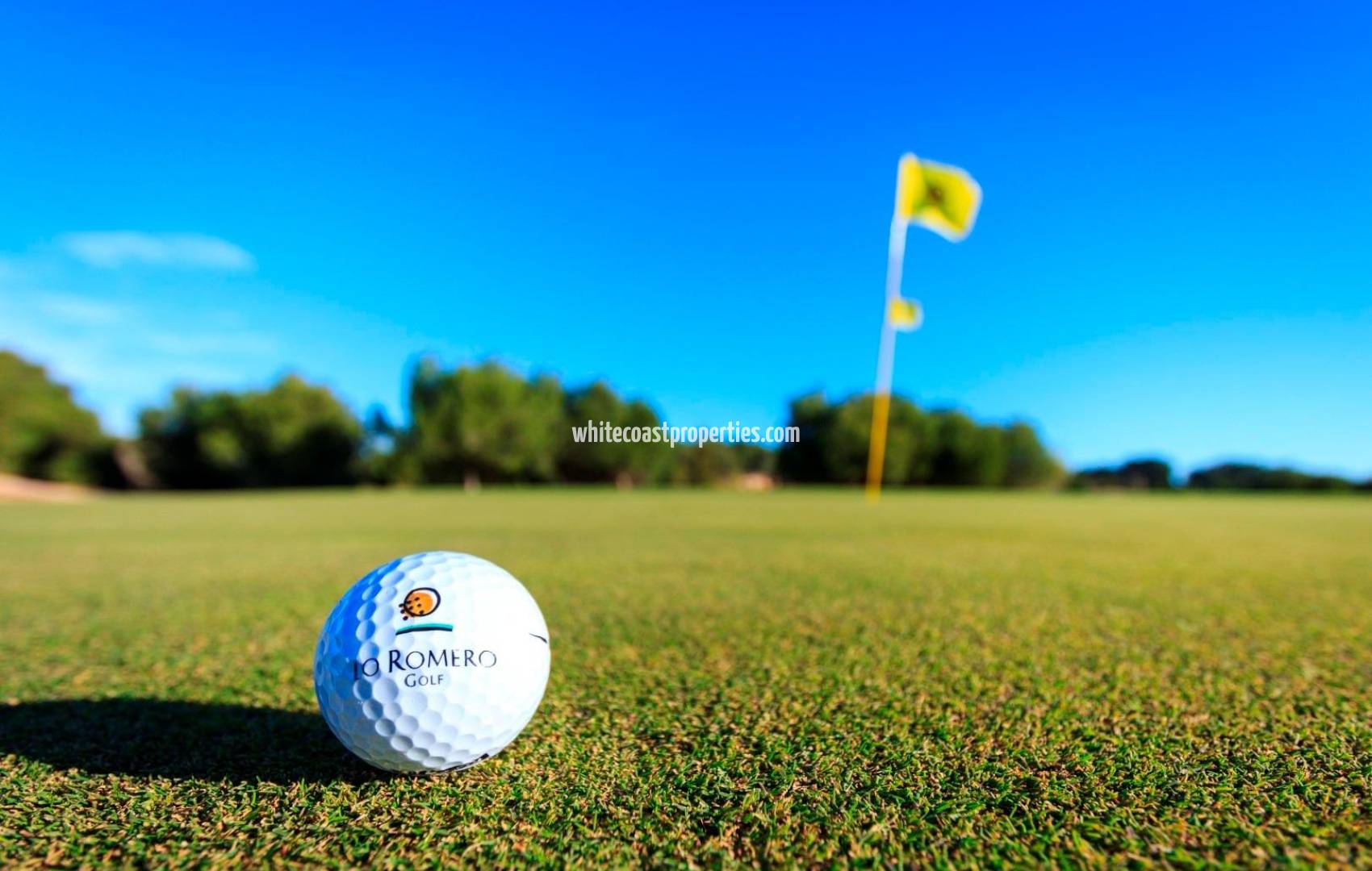 Новостройка - Вилла - Pilar de la Horadada - Lo Romero Golf