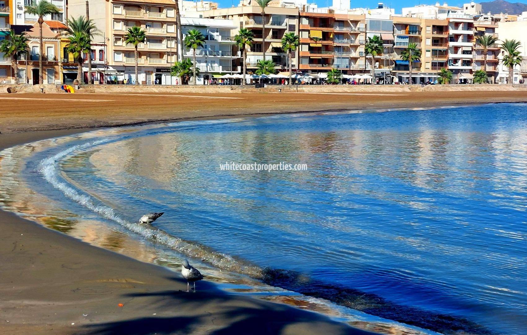 Nueva construcción  - Casa de pueblo - Fuente Álamo - La Pinilla