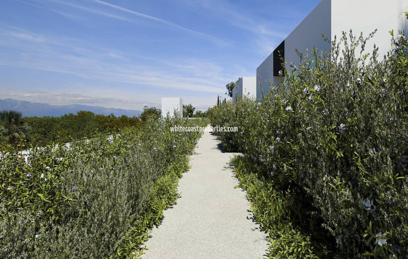 Nueva construcción  - Chalet - Alfas del Pí - Barranc Fondo