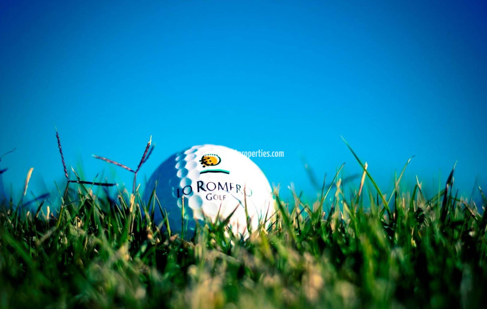 Nueva construcción  - Chalet - Pilar de la Horadada - Lo Romero Golf