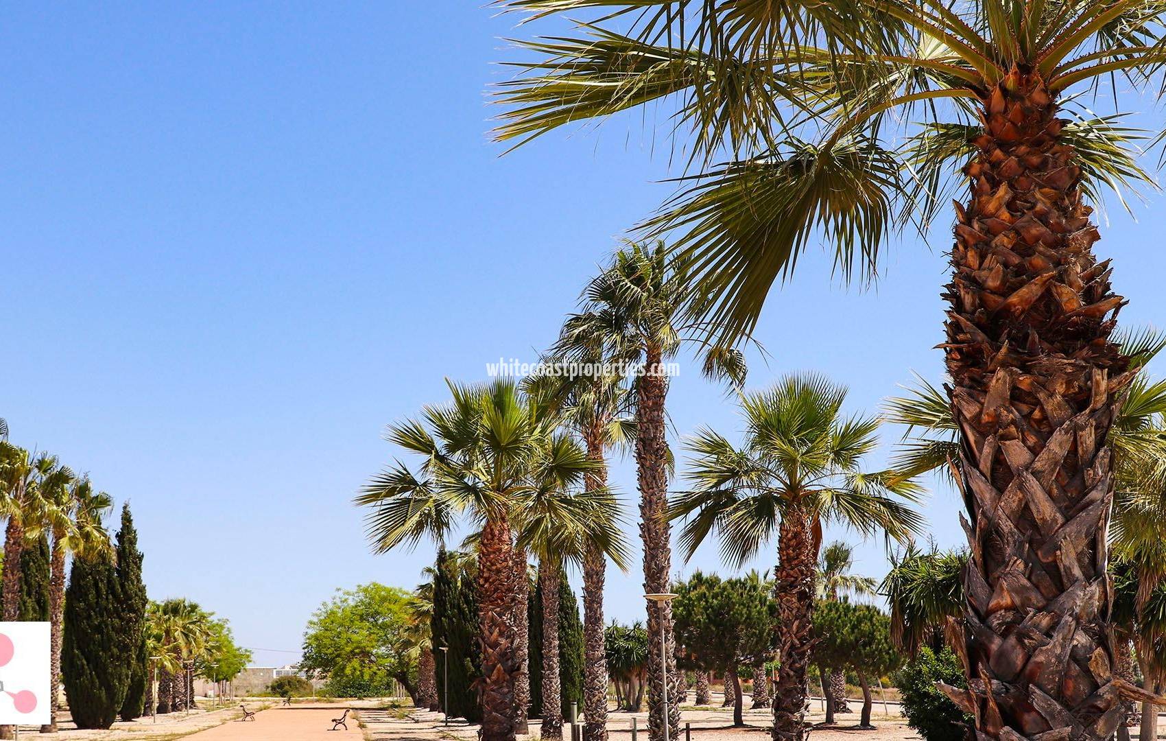 Nueva construcción  - Chalet - San Fulgencio - La Escuera