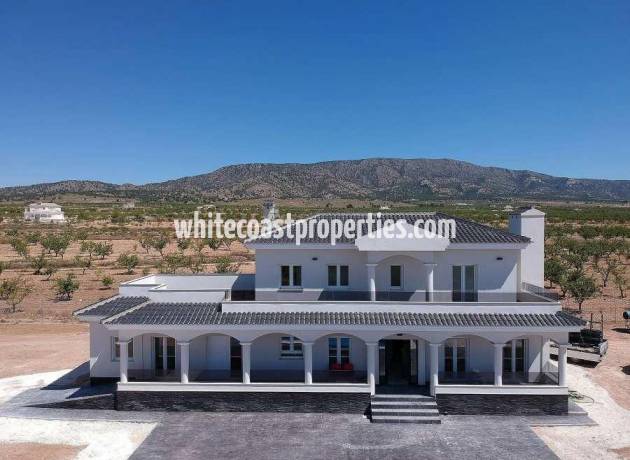 Villa - New Build - Pinoso - Camino Del Prado