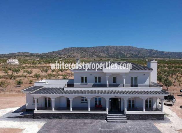 Villa - New Build - Pinoso - NB-82935