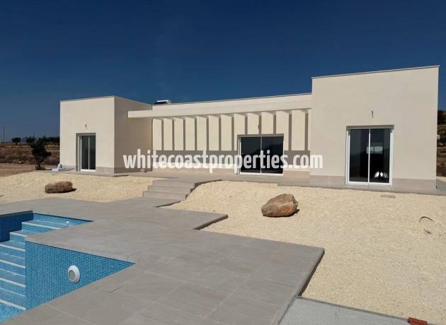 Вилла - Новостройка - Pinoso - Camino Del Prado