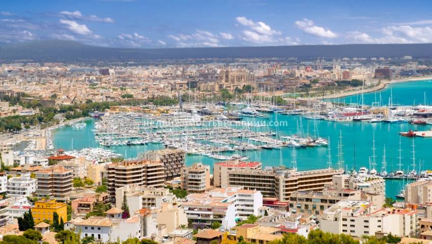 Tinsa: рост стоимости жилья на Средиземноморском побережье Испании